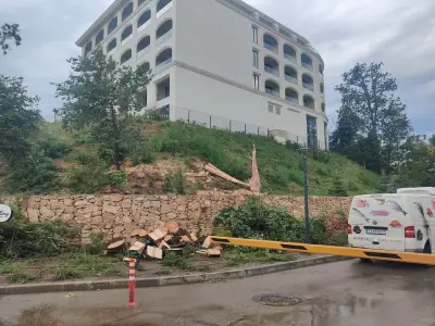 Парковка термы