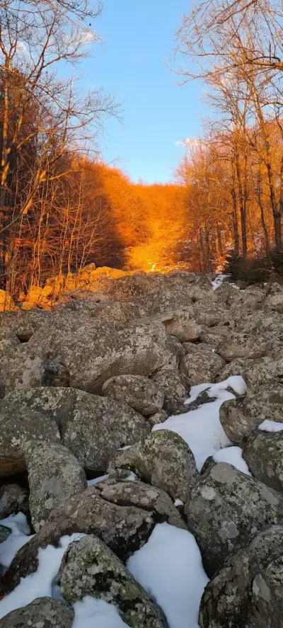 Каменна река