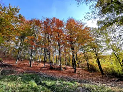 Каменна река