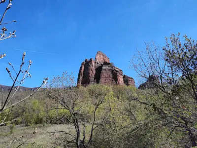 Боровишки скален комплекс