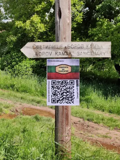 Боровишки скален комплекс