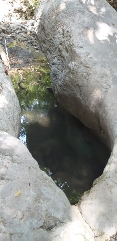 Водопад Куза скока