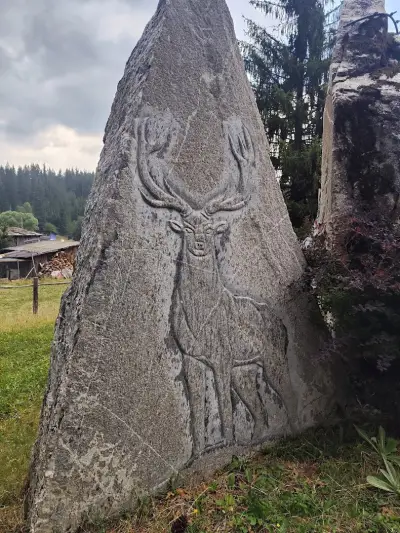 Кът на лесовъда