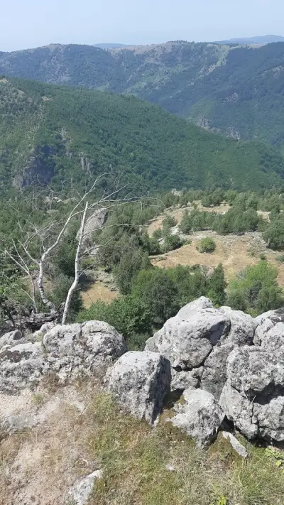 Скалето