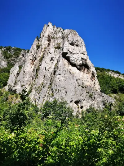 Усмихнатата скала