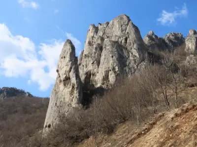 Усмихнатата скала