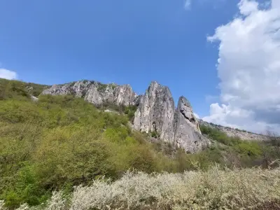 Усмихнатата скала