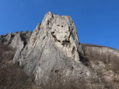 Усмихнатата скала