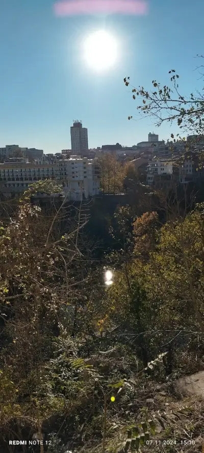 Гледка към Велико Търново