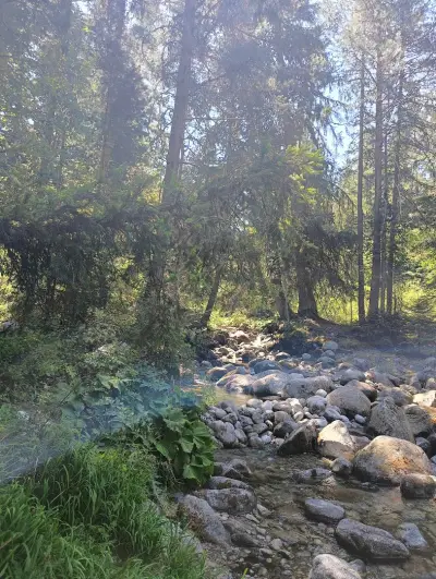Skinny Dipping Hole