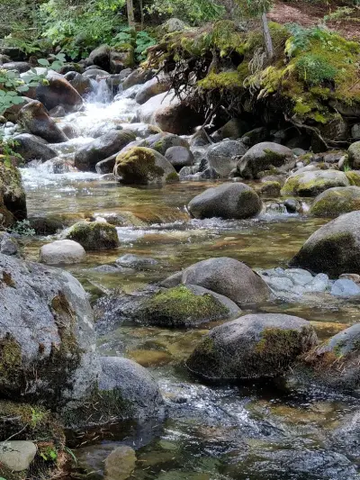 Skinny Dipping Hole