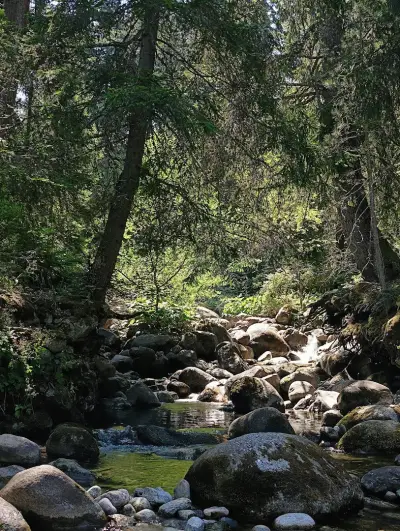 Skinny Dipping Hole
