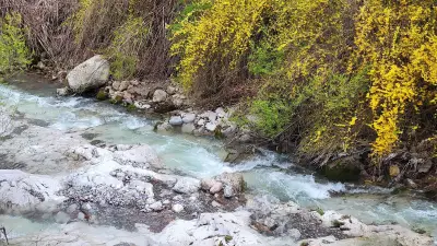 Туристически дом "Хижата"