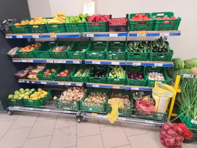 Eco Assorted