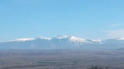 Д-р Даниела Игнатова