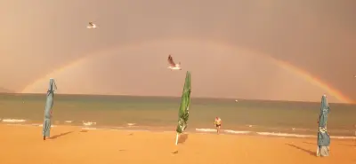 Beach Bar