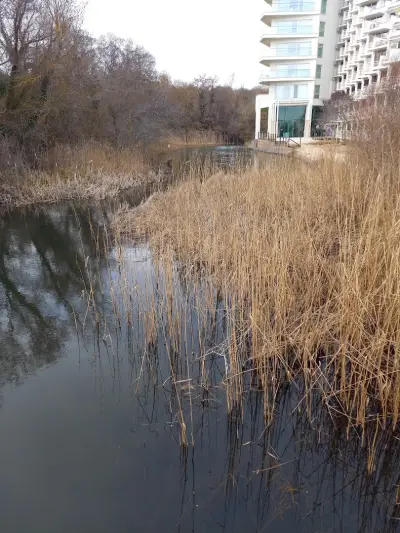 Батова река