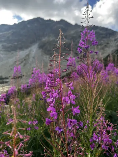 Musala Peak Trailhead
