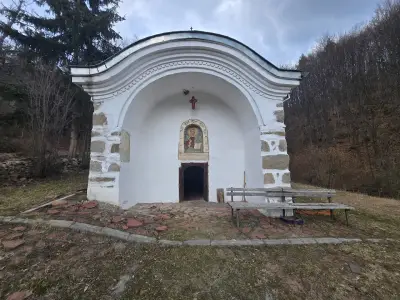 Алински манастир ”Свети Спас”