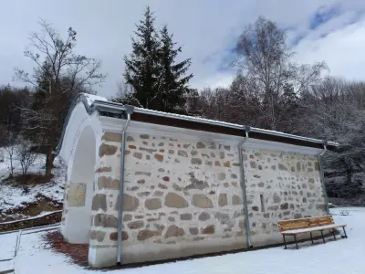 Алински манастир ”Свети Спас”