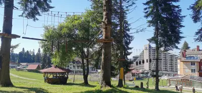 Въжен град Бороландия
