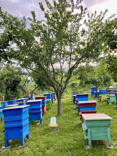 Пчеларски магазин “Горски мед”
