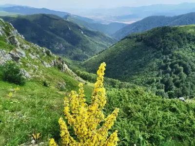 Козя стена