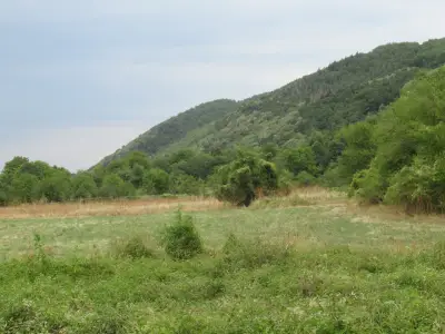 Крепост „Дибня“ (Калето)