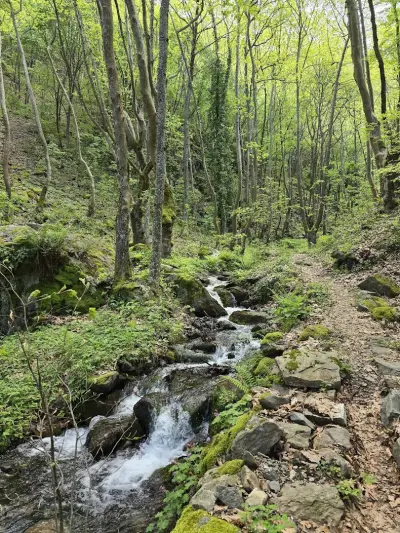 Яворнишки водопад