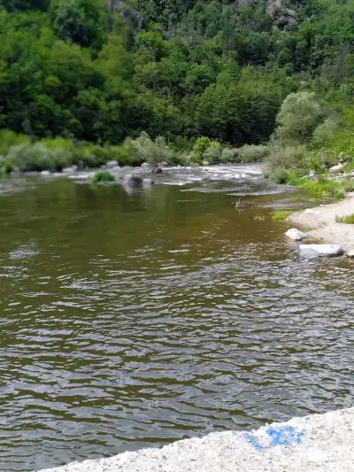 Панорамна точка към р. Арда