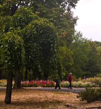 Парк „Горубсо“