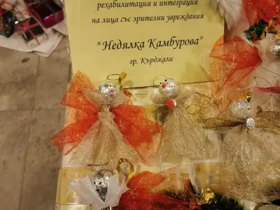 ЦСРИЛЗУ "Недялка Камбурова"
