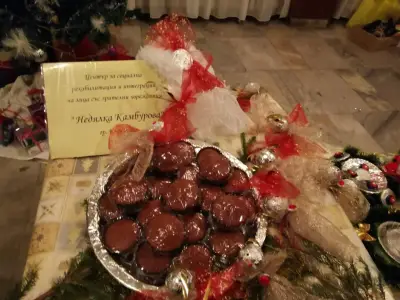 ЦСРИЛЗУ "Недялка Камбурова"