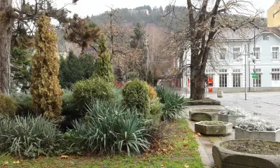 City Park