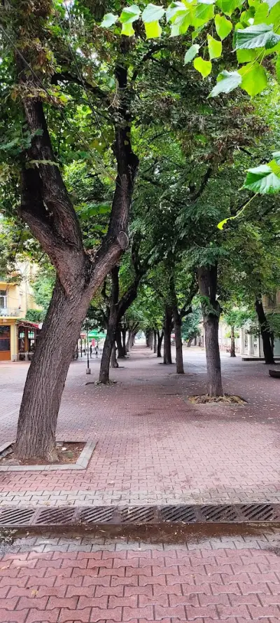 City Park