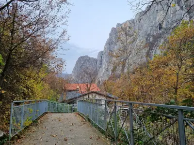 Велоалея