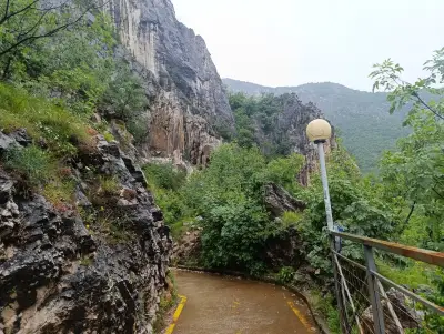 Велоалея