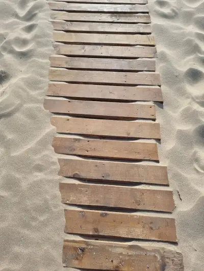 Wild sand dunes Sunny Beach