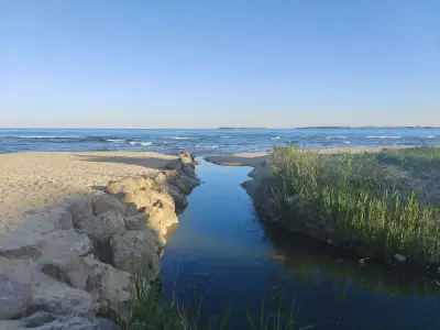 Wild sand dunes Sunny Beach