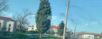 Кметство Любеново