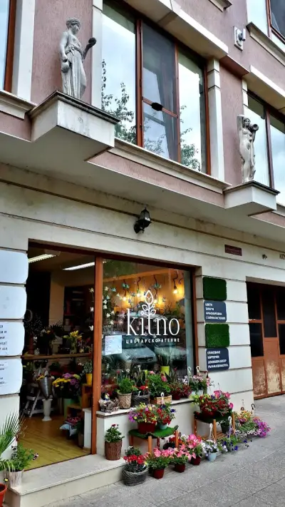 Kitno