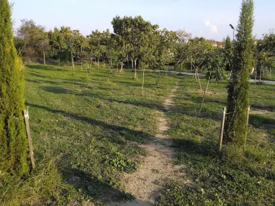 Парк Борисова градина - Галата