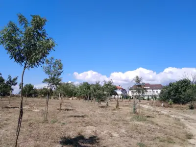 Парк Борисова градина - Галата