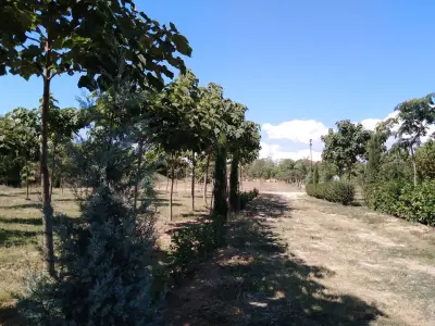 Парк Борисова градина - Галата