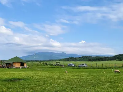 Фермата на мечтите