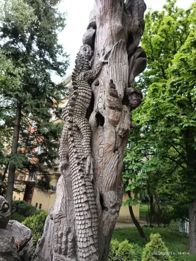 Дървото на Философа