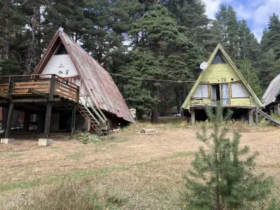 Ливада Бачия