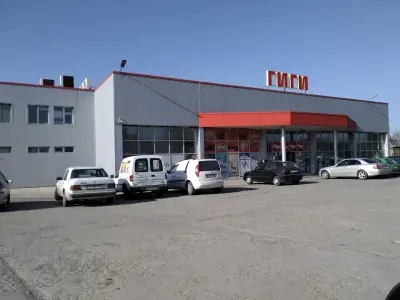 ГИГИ