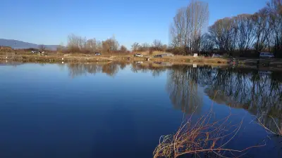 Арена Митерсон