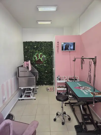 G&M Grooming studio